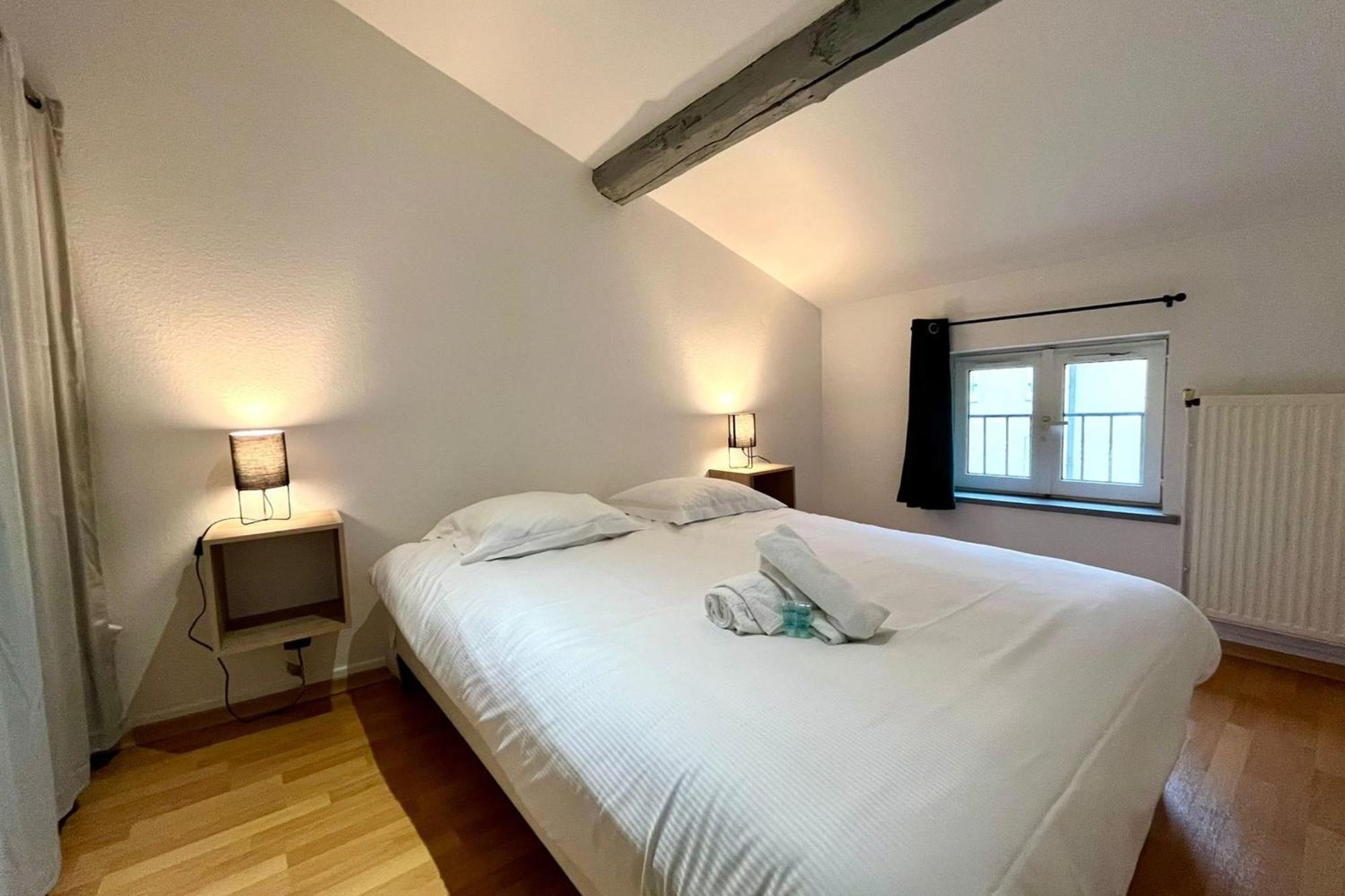 Le Duplex Des Dames Apartment น็องซี ภายนอก รูปภาพ